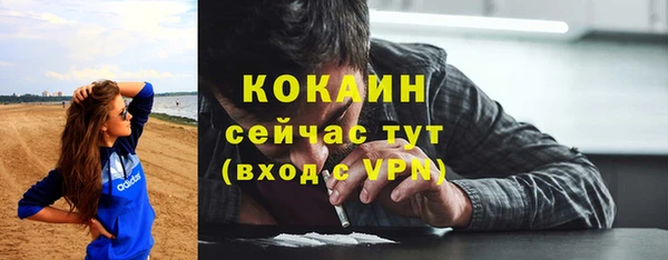 крисы Балахна