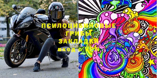 крисы Балахна
