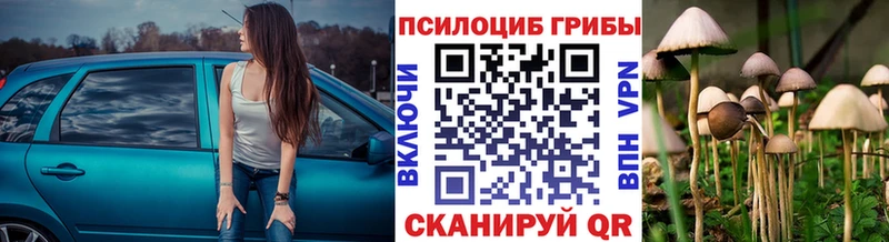 Псилоцибиновые грибы Psilocybine cubensis  Дальнегорск 