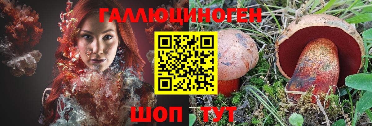 закладки  Вход с VPN  Дальнегорск  Галлюциногенные грибы Cubensis  Галлюциногенные грибы MAGIC MUSHROOMS 