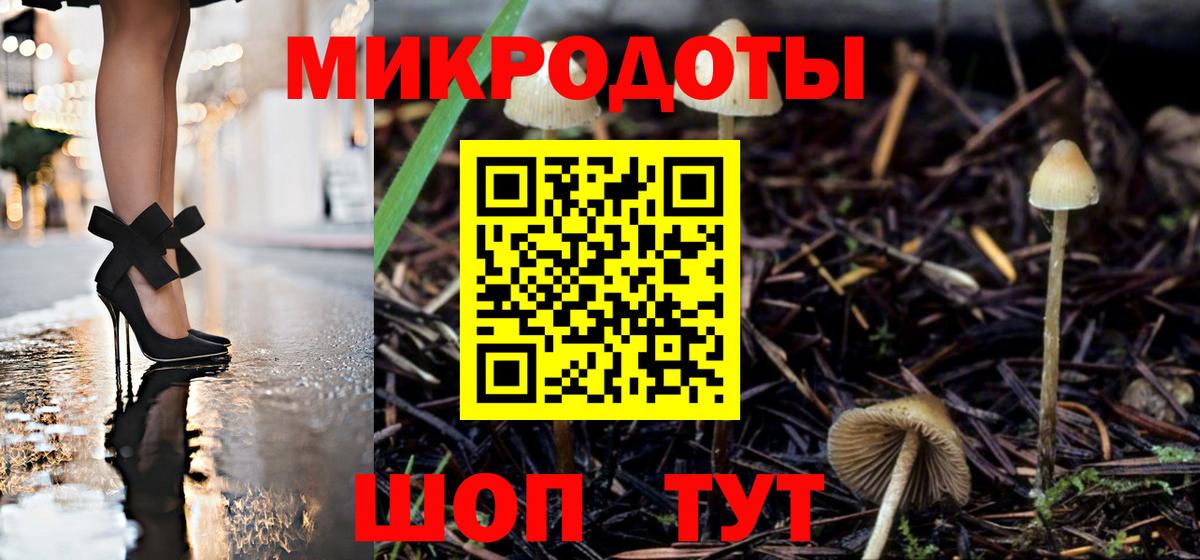Галлюциногенные грибы прущие грибы Дальнегорск