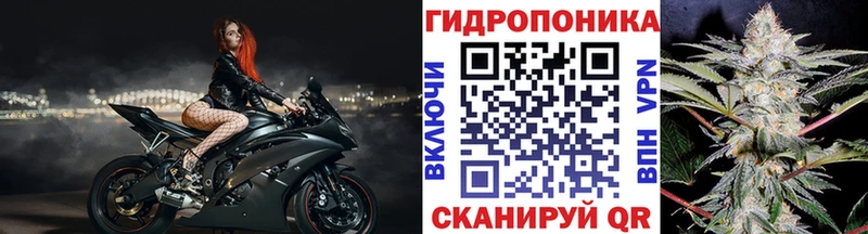 Бошки Шишки марихуана  кракен онион  Дальнегорск  купить  сайты 