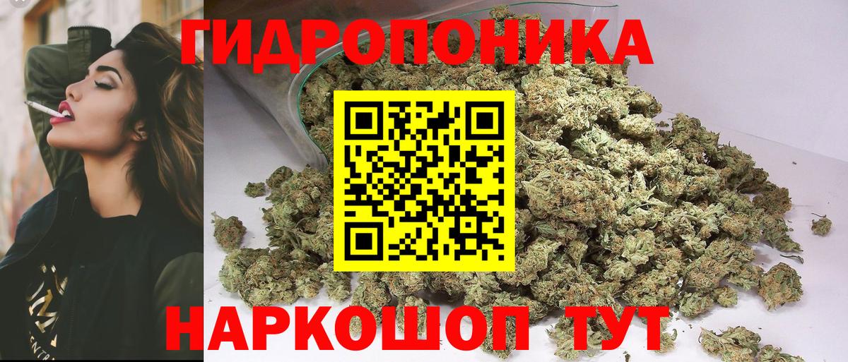 Конопля Amnesia Дальнегорск